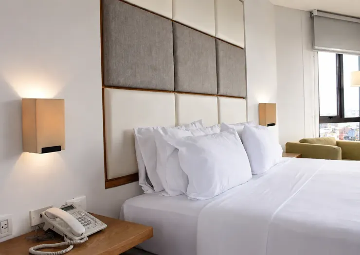 Junior Suite Alko Select Cali Junior Suite Alko Select Cali